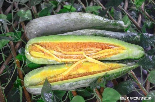 网红吃瓜赵露丝图片,表情包走红网络